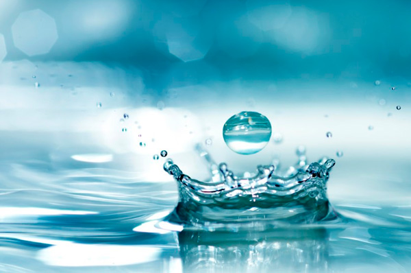 10 Mandamentos - Declaração dos Direitos da Água